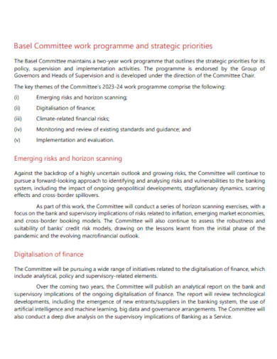 Basel Committee Work Programme and Sstrategic Priorities