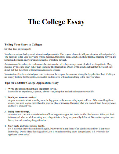 Basic College Essay