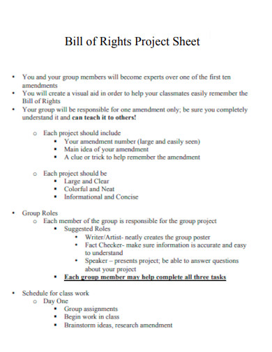 Bill of Rights Project Sheet