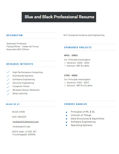Blue and Black Professional Resume