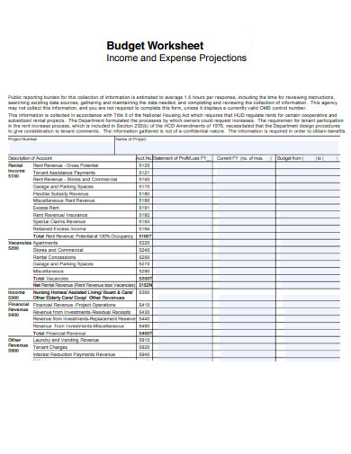 Budget Worksheet Income and Expense Projections