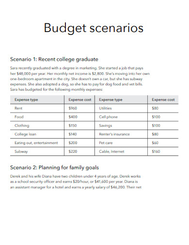 Budget scenario