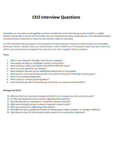 CEO Interview Questions