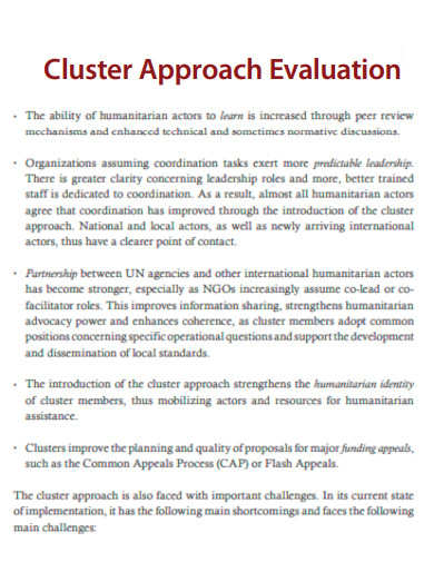 Cluster Approach Evaluation
