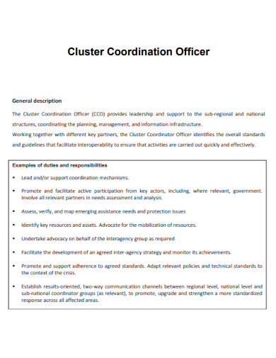 Cluster Coordination Officer