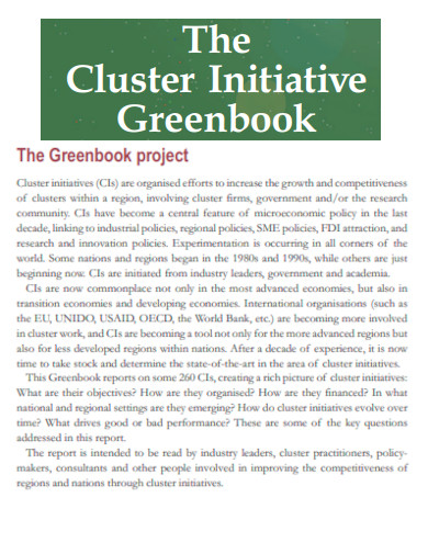 Cluster Initiative Greenbook