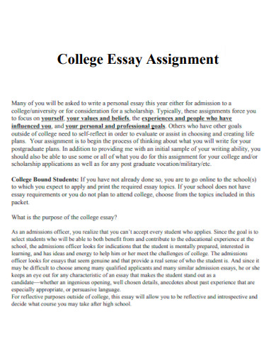College Essay Assignment