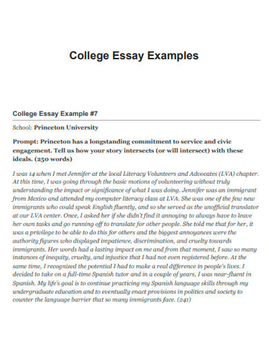 College Essay Example