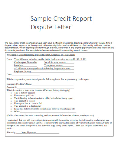 Credit Report Dispute Letter