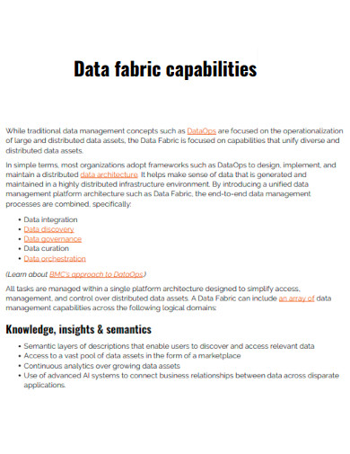 Data Fabric Capabilites