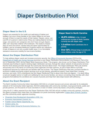 Diaper Distribution Pilot