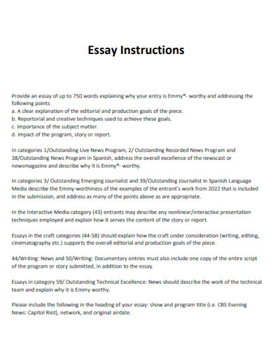 Essay Instructions
