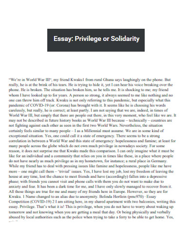 Essay on Privilege or Solidarity