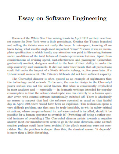 Essay on Software Engineering
