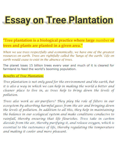 Essay on Tree Plantation