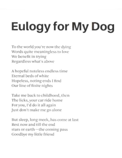 Eulogy for My Dog