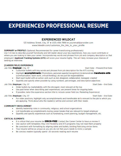 Experienced Professional Resume
