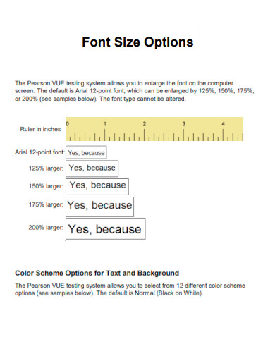 Font Size Options