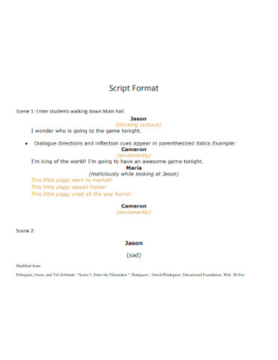 General Script Format