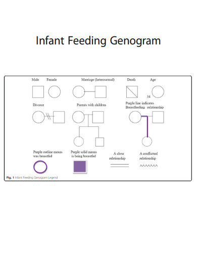 Infant Feeding Genogram
