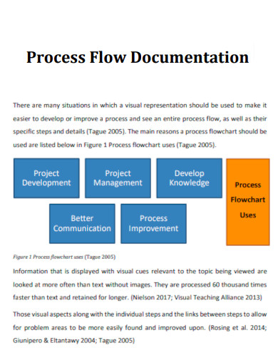 Process Flow Documentation