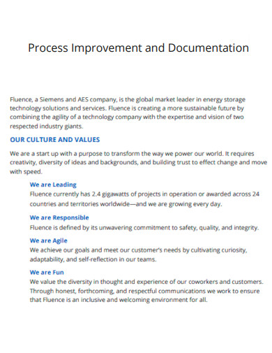 Process Improvement Documentation