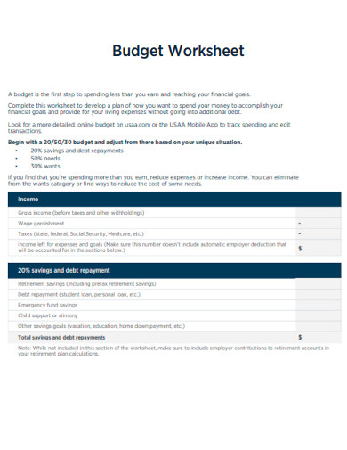 Professional Budget Worksheet