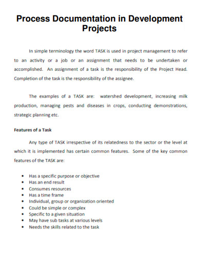 Project Development Process Documentation