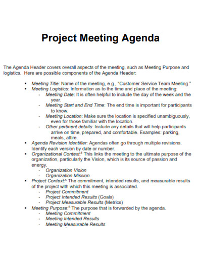 Project Meeting Agenda