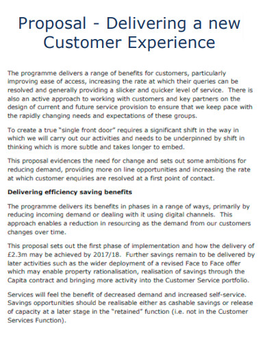 Proposal Delivering a new Customer Experience