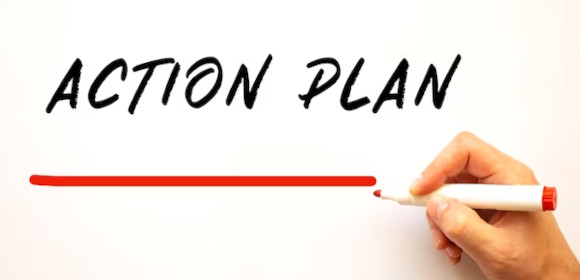 sample action plan fimg