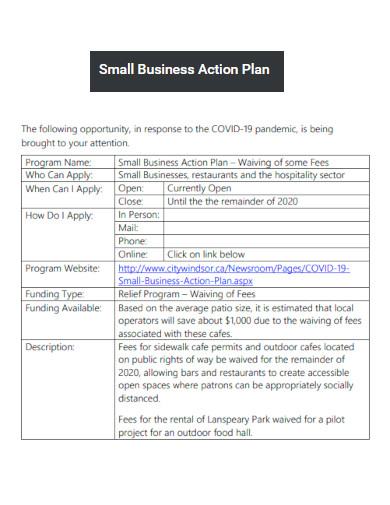 Small Business Action Plan