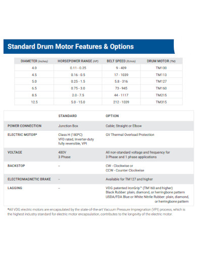 Standard Drum Motor Features and Options