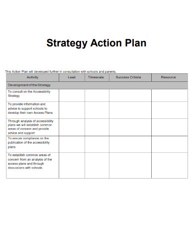 Strategy Action Plan