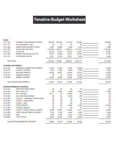 Tenative Budget Worksheet