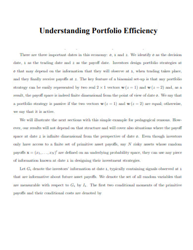 Understanding Portfolio Efficiency