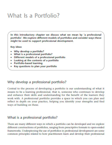 What Is a Portfolio