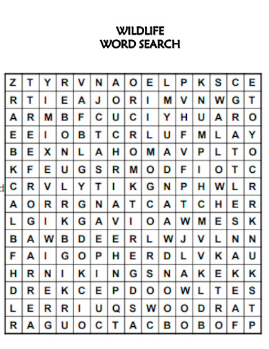 Wild Life Word Search