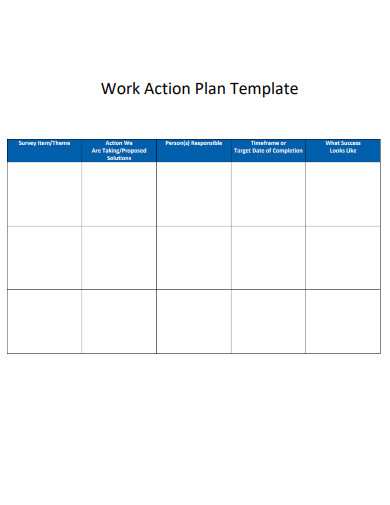 Work Action Plan