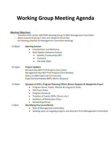 Working Group Meeting Agenda