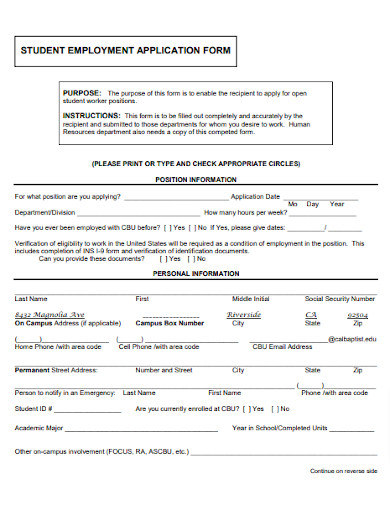 Employment Application Form Layout
