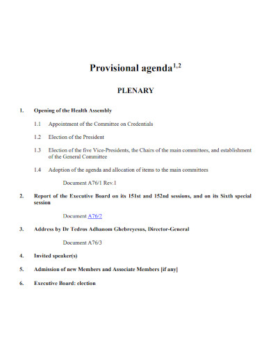 Provisional Agenda