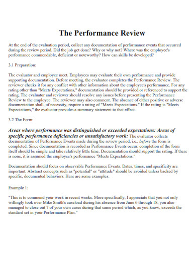 Sample Performance Review