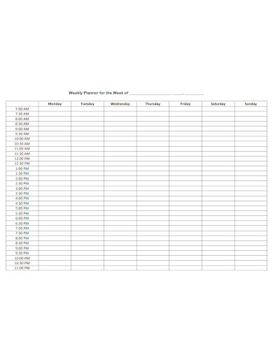 Professional Hourly Planner