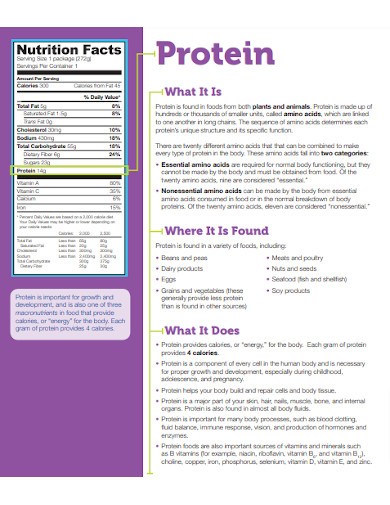 Protein Nutrition Facts