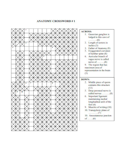 Anatamy Crossword