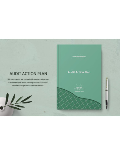 Audit Action Plan Template