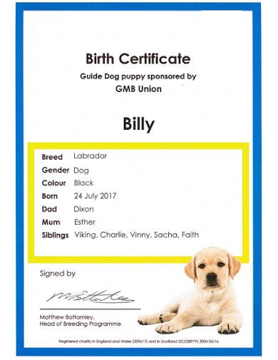Billys Dog Birth Certificate