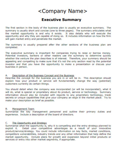 Company Business Plan Executive Summary