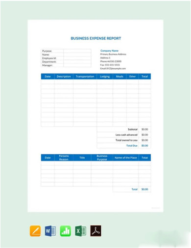 Editable Business Expense Report